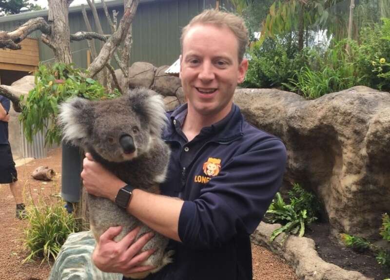 Koala massacre on Kangaroo Island