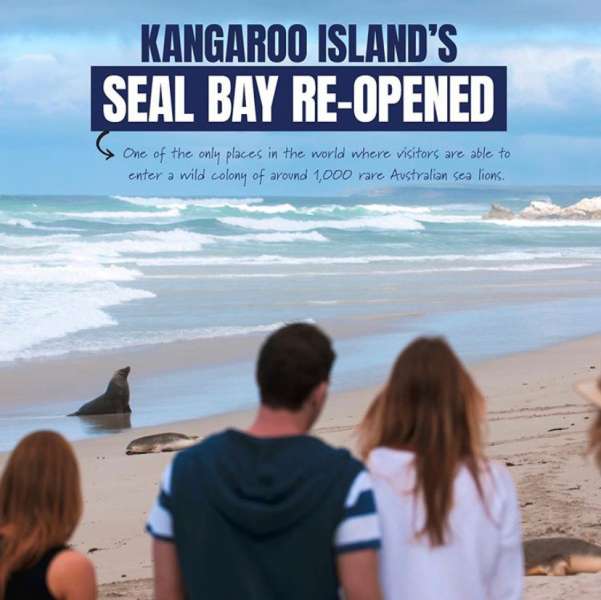 Kangaroo Island’s iconic Seal Bay tourism site re-opens to the public
