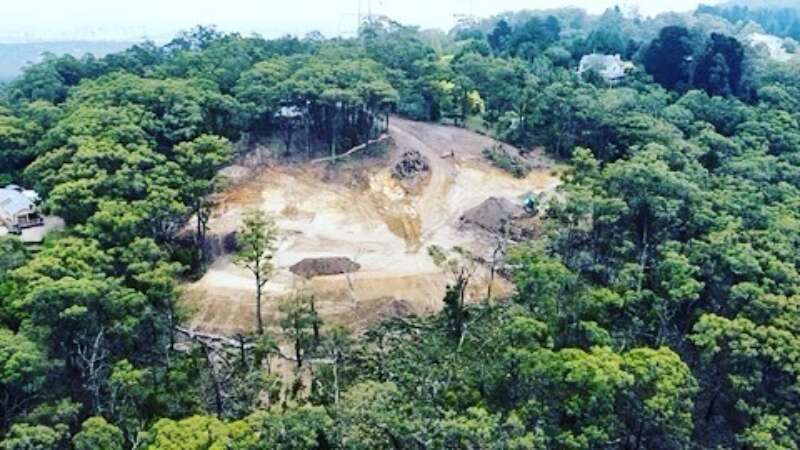 Urgent action needed for tree clearing at Mount Lofty