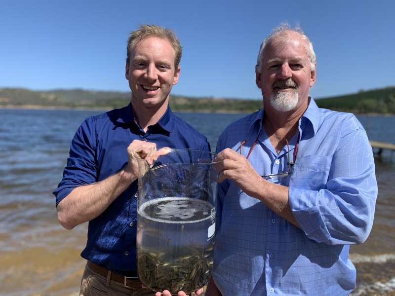 Rec fishers rejoice with Myponga Reservoir fish release