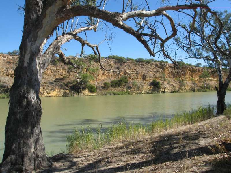Environmental water flows crucial for SA and the health of the Murray-Darling Basin