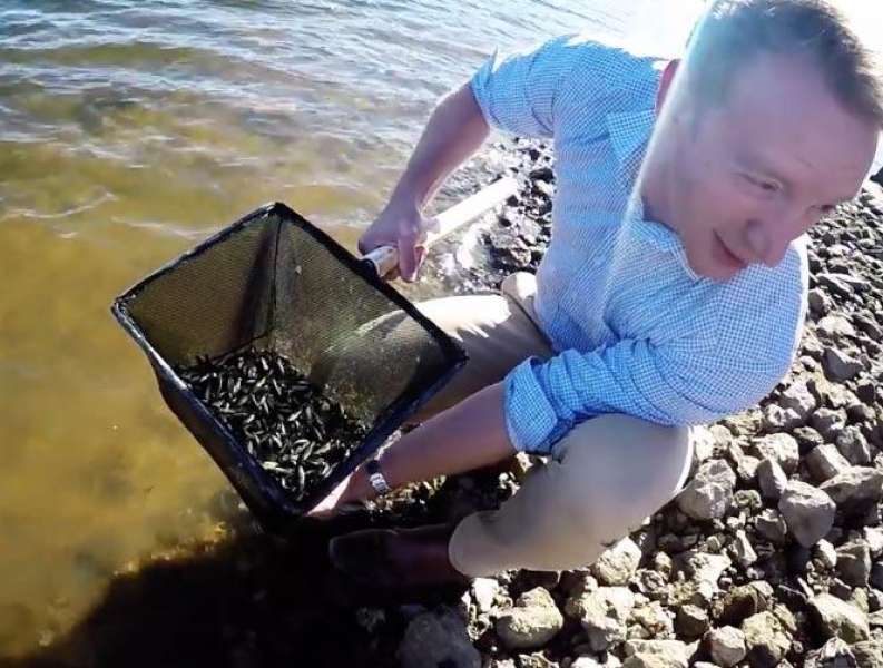 Fish Release at South Para Reservoir